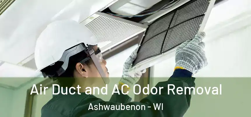  Air Duct and AC Odor Removal Ashwaubenon - WI