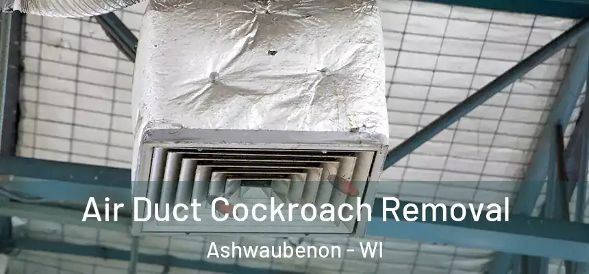  Air Duct Cockroach Removal Ashwaubenon - WI