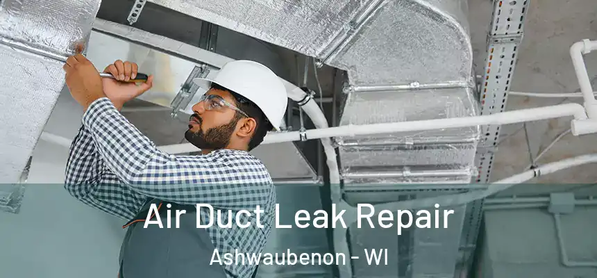  Air Duct Leak Repair Ashwaubenon - WI