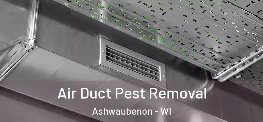  Air Duct Pest Removal Ashwaubenon - WI