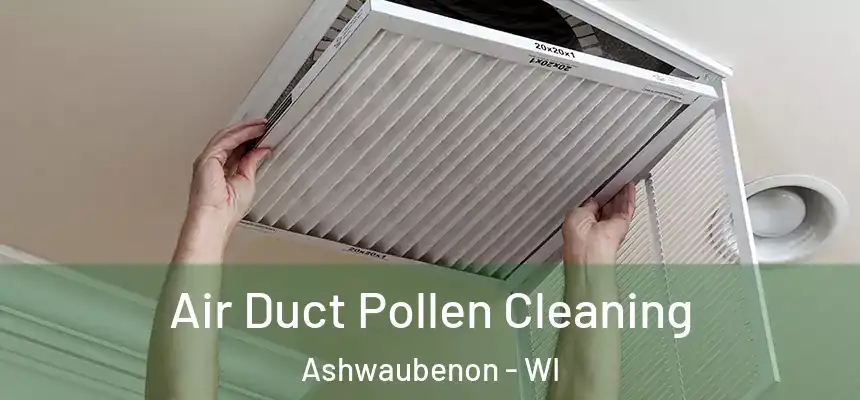  Air Duct Pollen Cleaning Ashwaubenon - WI