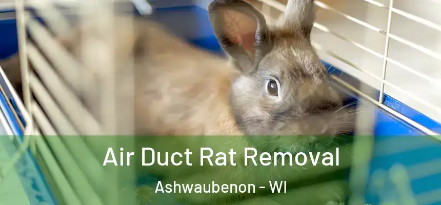  Air Duct Rat Removal Ashwaubenon - WI