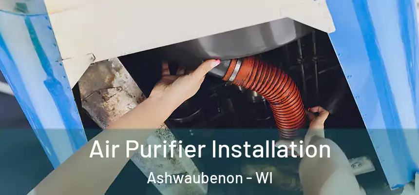  Air Purifier Installation Ashwaubenon - WI