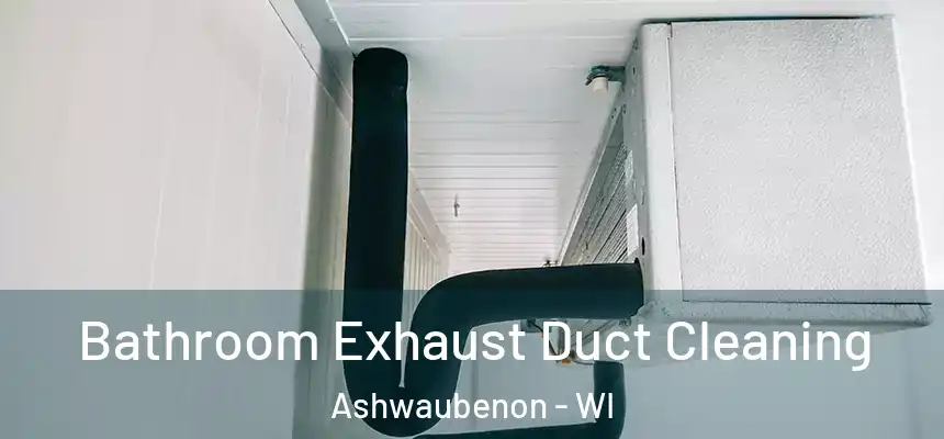  Bathroom Exhaust Duct Cleaning Ashwaubenon - WI