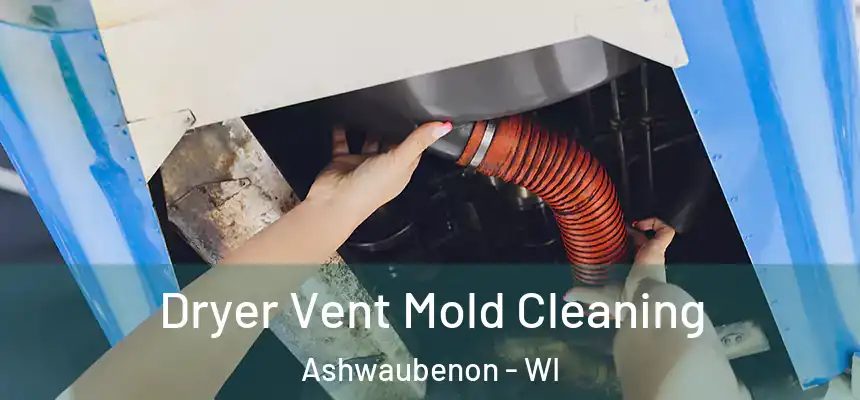  Dryer Vent Mold Cleaning Ashwaubenon - WI