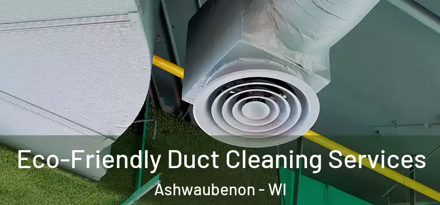 Eco-Friendly Duct Cleaning Services Ashwaubenon - WI