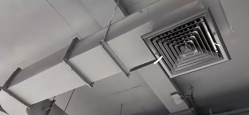 Restorative Allergy Relief Vent Cleaning – Coil, Blower & Housing Detail in Ashwaubenon