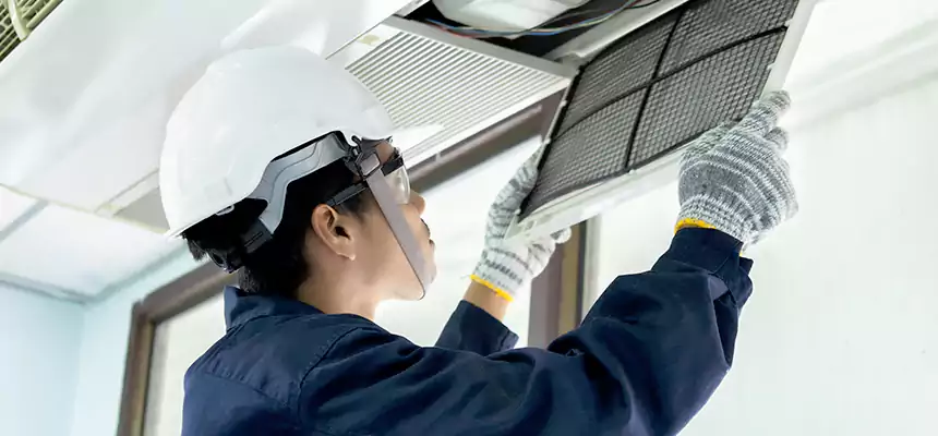 Our Mold & Mildew Removal from Air Ducts Services in Ashwaubenon, WI