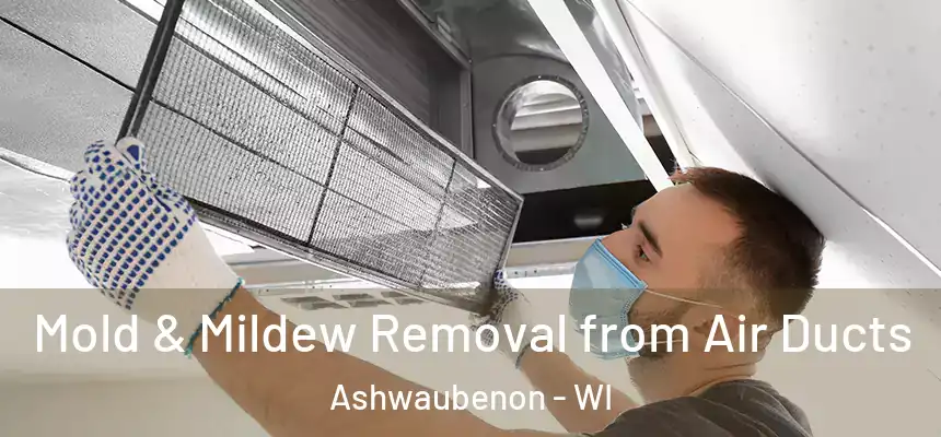  Mold & Mildew Removal from Air Ducts Ashwaubenon - WI