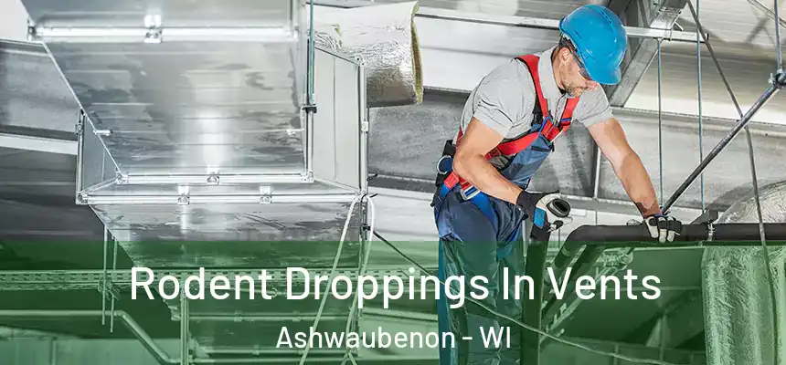  Rodent Droppings In Vents Ashwaubenon - WI