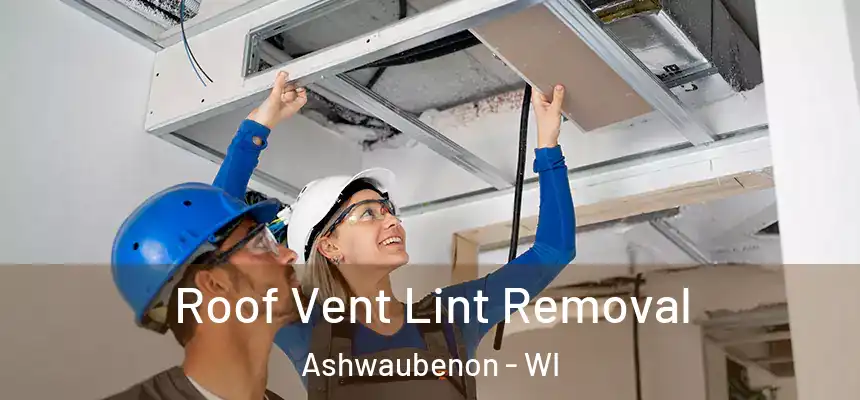  Roof Vent Lint Removal Ashwaubenon - WI