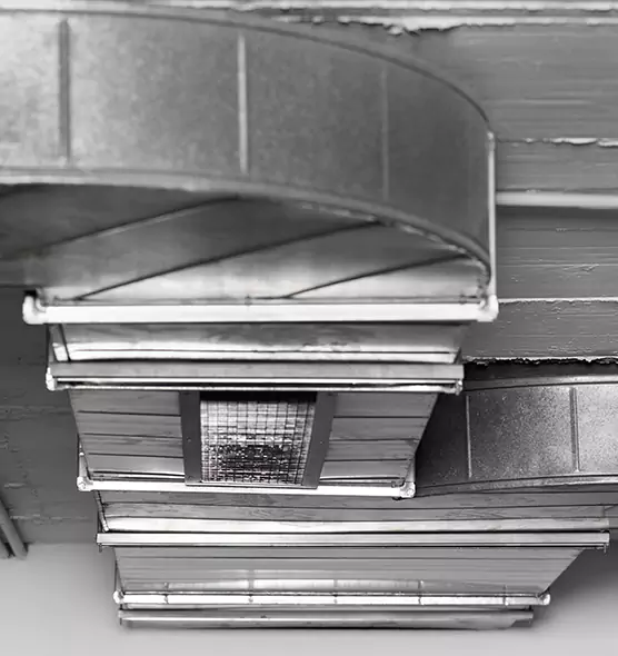 Professional Air Duct Pest Removal in Ashwaubenon, WI