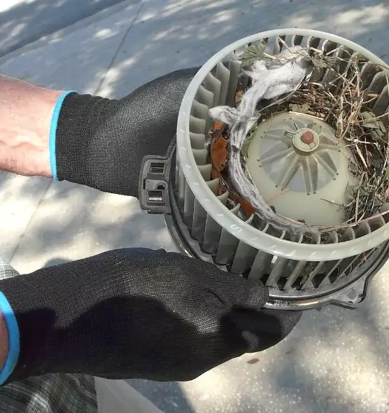 About Air Duct Rat Removal in Ashwaubenon, WI