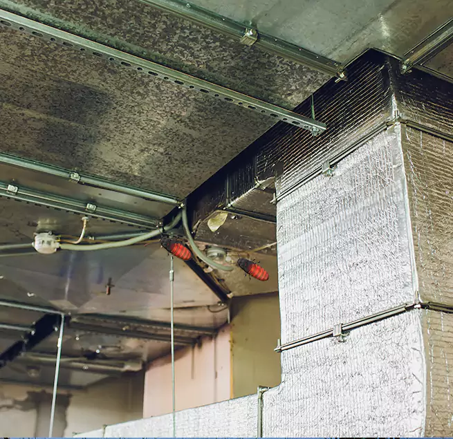 Why Homeowners & Businesses Trust Us in Ashwaubenon, WI?