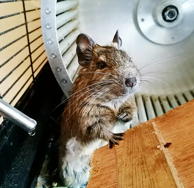 Why Homeowners & Businesses Trust Us Ashwaubenon, WI